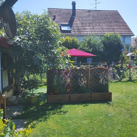 Gite Alsace Appenwihr Luaran gambar