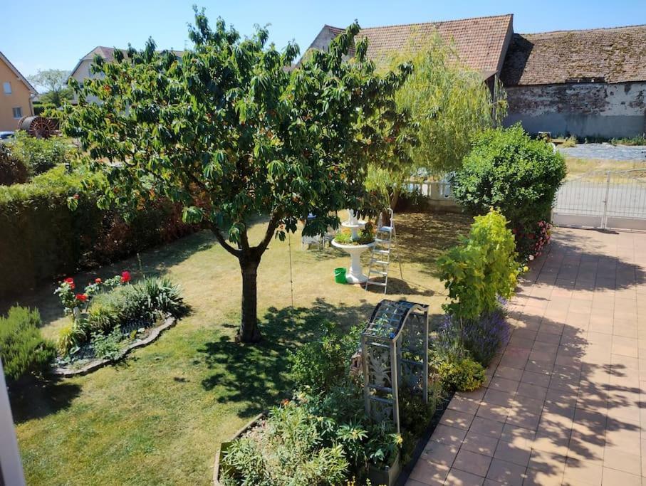 Gite Alsace Appenwihr Luaran gambar